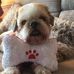 Roger Sumpter - Facebook