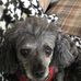 Roger Taggart - Facebook
