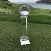 Roger Tam - @31869402121 - TikTok
