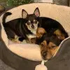 Roger Tedesco - @roger.tedesco0 - TikTok