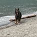 Roger Teeple - Facebook