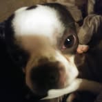 Roger Terrill - Facebook