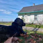 Roger Thivierge - @thivierge5087 - Instagram