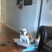 Roger Thorn - Facebook