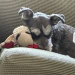 Roger Thorn - @roger.thorn.9 - Instagram