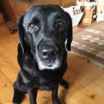 Roger Thörn - @rogerthorn4 - Instagram