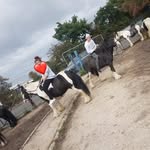 Roger Thornton - @rogerthornton23 - Instagram