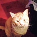 Roger Thurman - @thurman.roger - Instagram