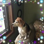 Roger Tillman - @roger.tillman.984991 - Instagram