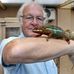 Roger Tomlinson - Facebook