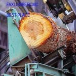 Roger stoner - @rogerstoner8 - Instagram