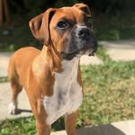 Roger Tribble - @rogertribble4 - Instagram