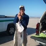 Roger Patrick Triggs - @rogertriggs - Instagram