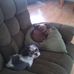 Roger Trimble - Facebook