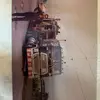 rogertrudel - @rogertrudel - TikTok