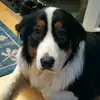 Roger Ulrich - @rogerulrich - TikTok