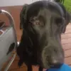 rogerulrich1 - @rogerulrich1 - TikTok
