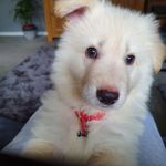 Roger Upton - @roger.upton.50 - Instagram