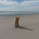 Roger Vandall - @roger_vandall - Instagram