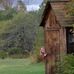Carole Rogers Wakefield - Facebook