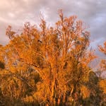 Roger Wakefield - @rogerw2731 - Instagram