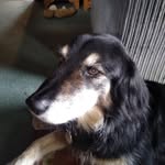 Roger Wakefield - @roger.wakefield.351 - Instagram