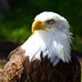 Roger Walls - Facebook