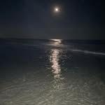 Roger Walz - @rdead7 - Instagram