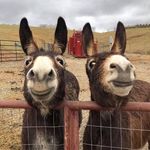 Thomas Roger Warden - @troger1460 - Instagram