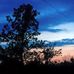 Roger Warren - Facebook