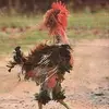 rogerwebber473 - @rogerwebber473 - TikTok