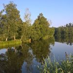 Roger Weber - @roger.weber.566 - Instagram