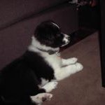 Roger Weber - @rogerjweber - Instagram