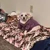 Roger Weber - @roger.weber3 - TikTok