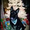 Roger Wehmeyer - @roger.wehmeyer - TikTok