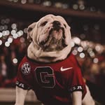 Roger Weldon - @rogerweldon - Instagram