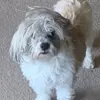 Roger Weldon - @rogerweldon - TikTok