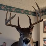 Roger Welsh - @welshroger - Instagram