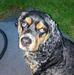 Roger Wendt - Facebook