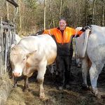 Roger Wendt - @roger.wendt.773 - Instagram