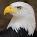 Roger Whitaker - Facebook