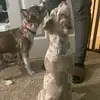 Roger Wise - @roger.wise26 - TikTok