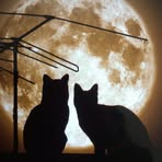 Roger Wise - Facebook
