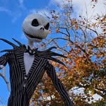 Roger Wise - @bristol.46 - Instagram