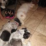 Roger Wise - @wise9740 - Instagram