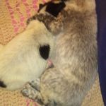 Lynda Yarbrough Rogers - @lyndayarbroughrogers - Instagram