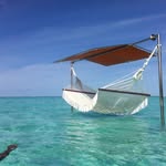 @rogeryardley_whiteguy - Instagram