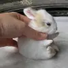 Roger Yeager - @roger.yeager - TikTok