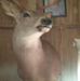 Roger Yeager - Facebook