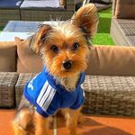 Ryu Roger York - @ryu.roger.york - Instagram
